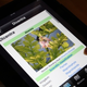 Illustration for article titled Project Noah Would Be Swamp Things Favorite iPad App